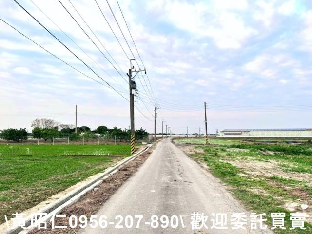 台南善化農地-1