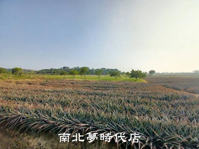 台南關廟農地-12