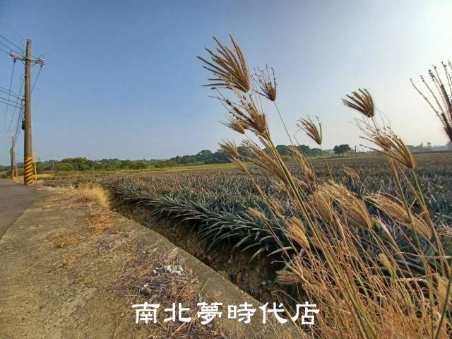 台南關廟農地-1