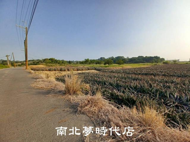 台南關廟農地-6
