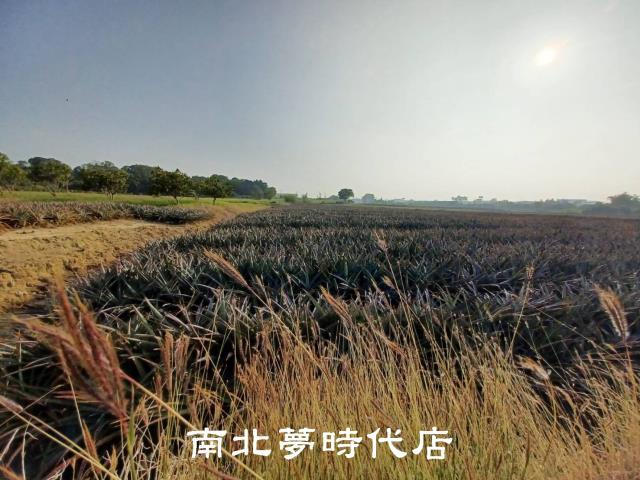 台南關廟農地-8