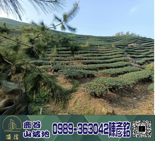 南投鹿谷工業地-2