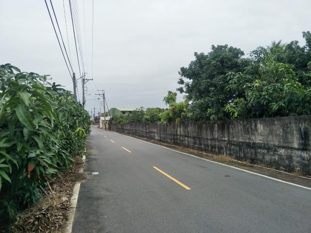 玉井農地-8