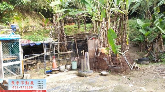 苗栗頭屋農地-3