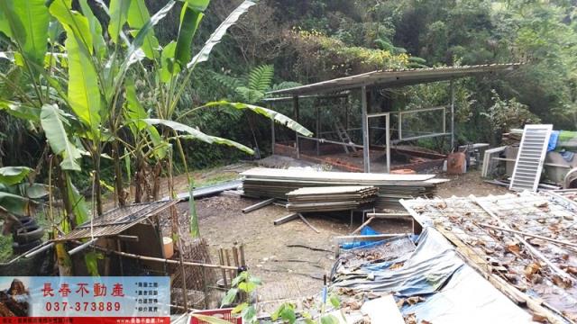 苗栗頭屋農地-4