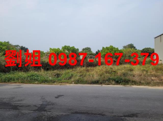 高雄大樹農地-1