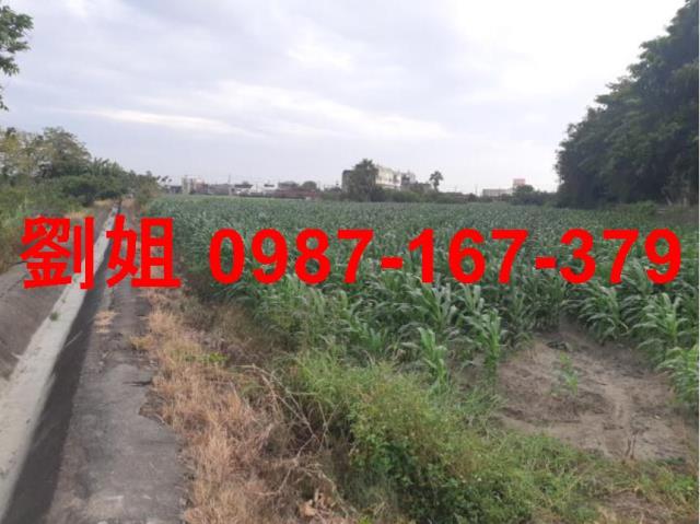 台南七股農地-1