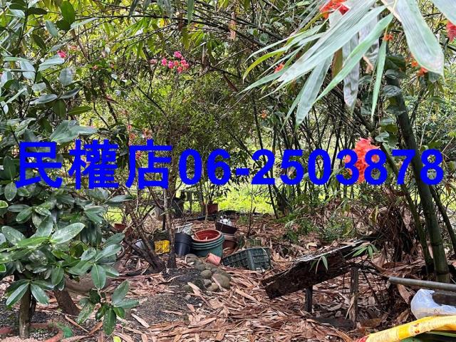 新化農地-3