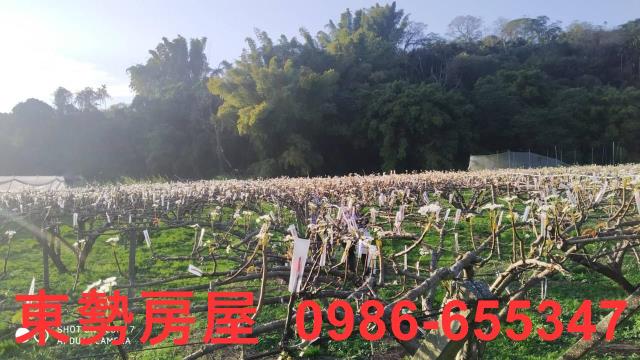 東勢農地-2