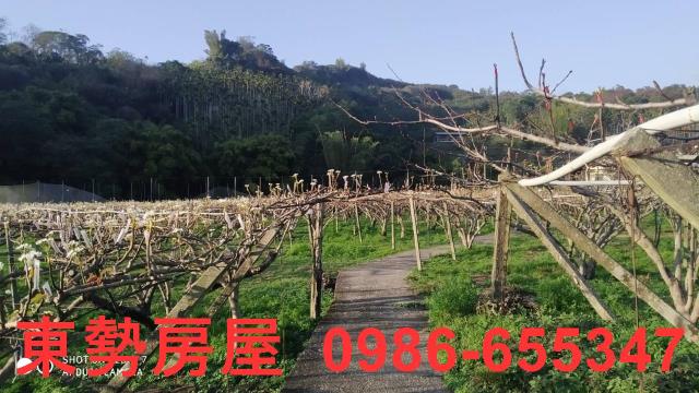 東勢農地-4