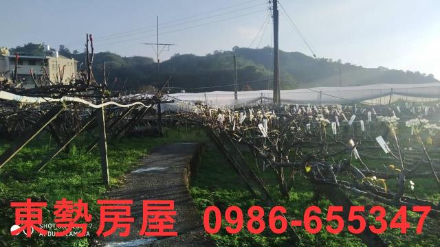 東勢農地-5