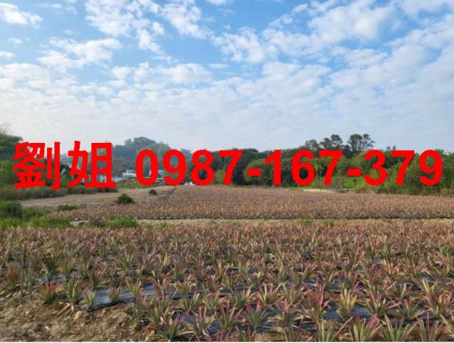 高雄仁武農地-1