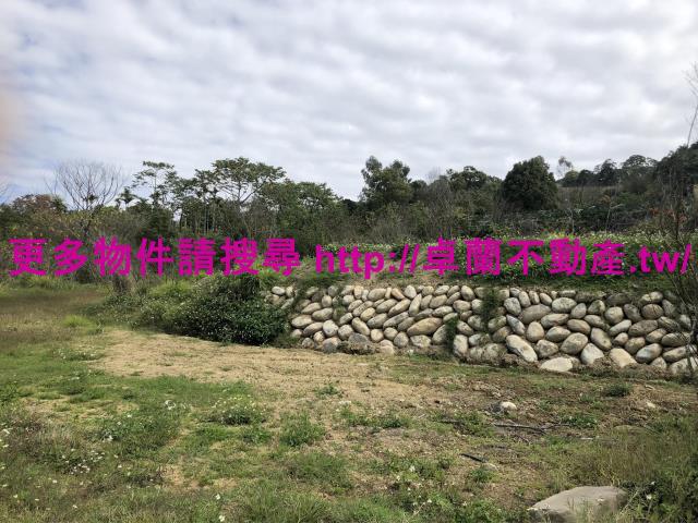 卓蘭農地-6