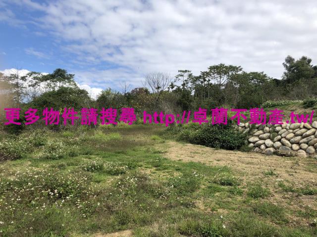 卓蘭農地-7