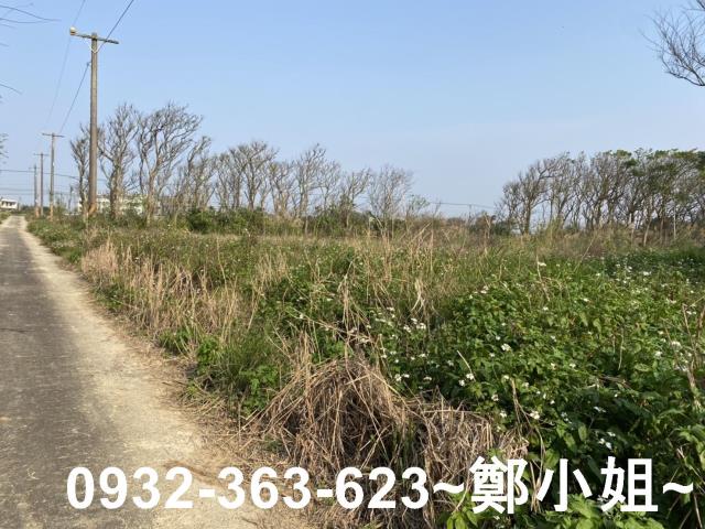 桃園觀音農地-4