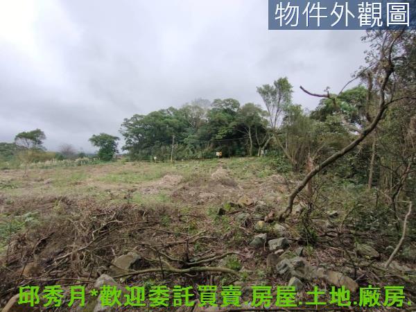 淡水農地-2