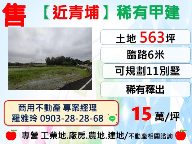 桃園大園建地-1