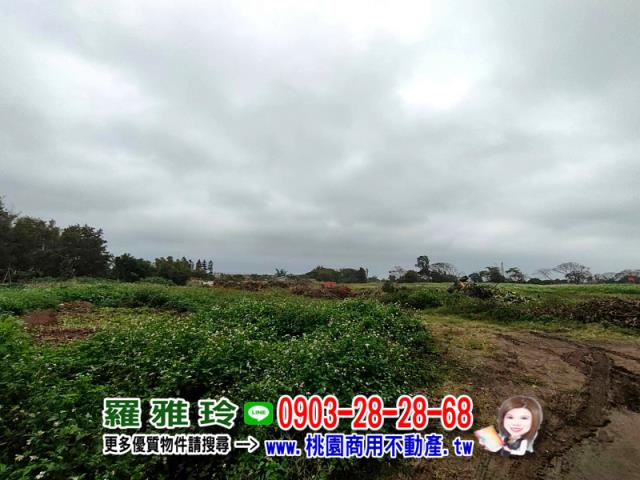 桃園大園建地-2