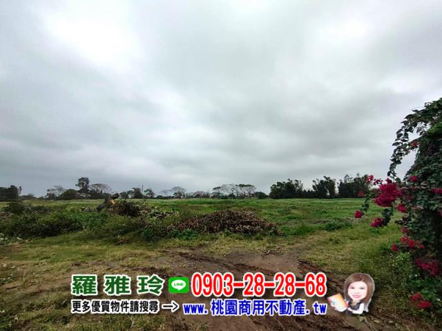桃園大園建地-3