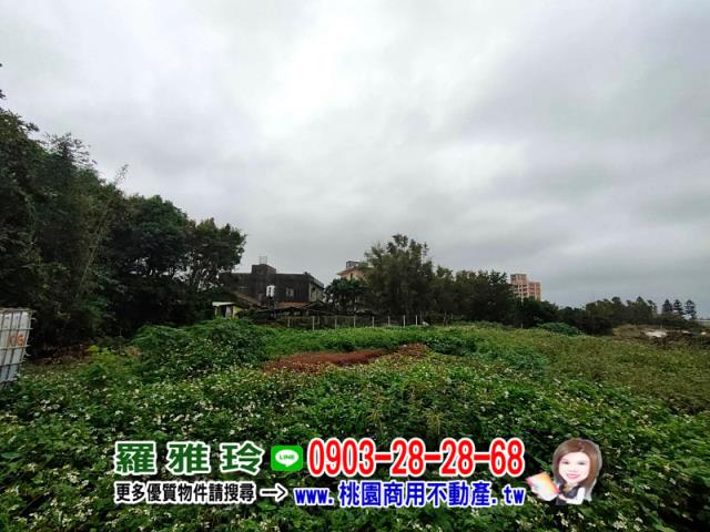 桃園大園建地-4