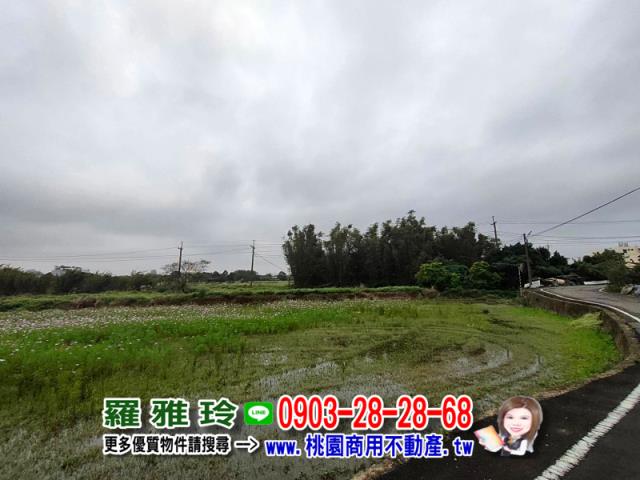 桃園大園建地-5