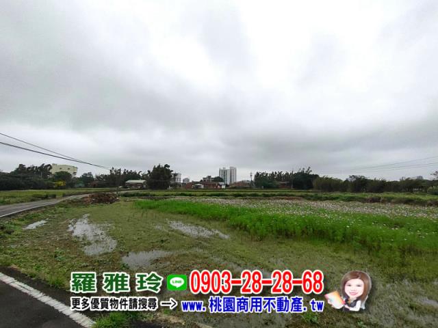 桃園大園建地-6