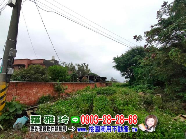 桃園大園建地-7