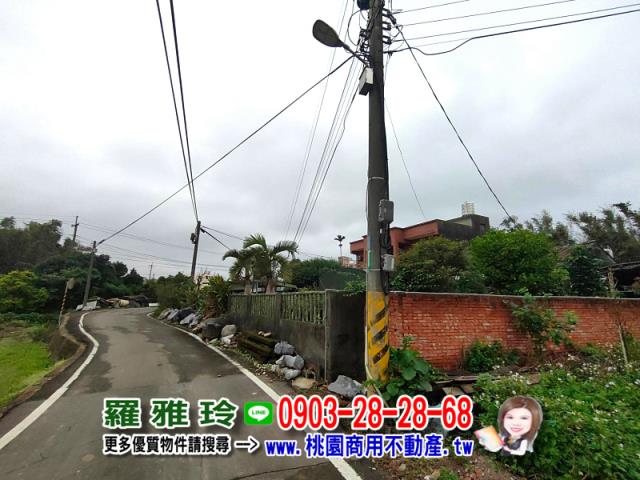 桃園大園建地-8