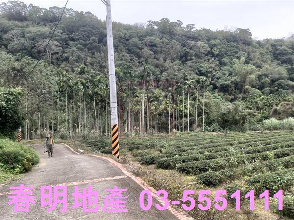 峨眉農地-3