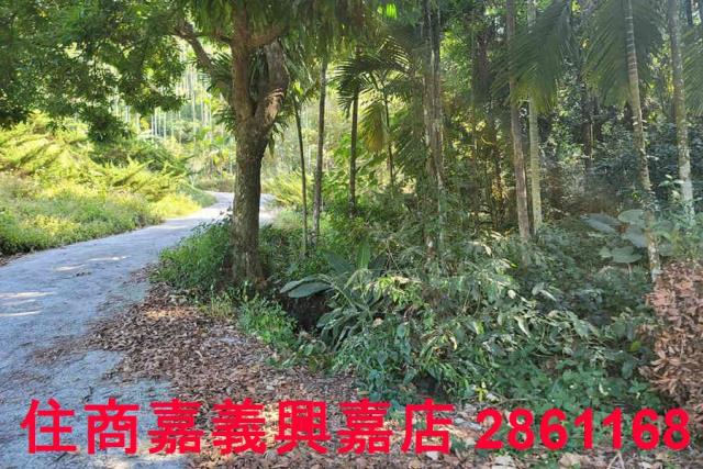 嘉義梅山農地-1