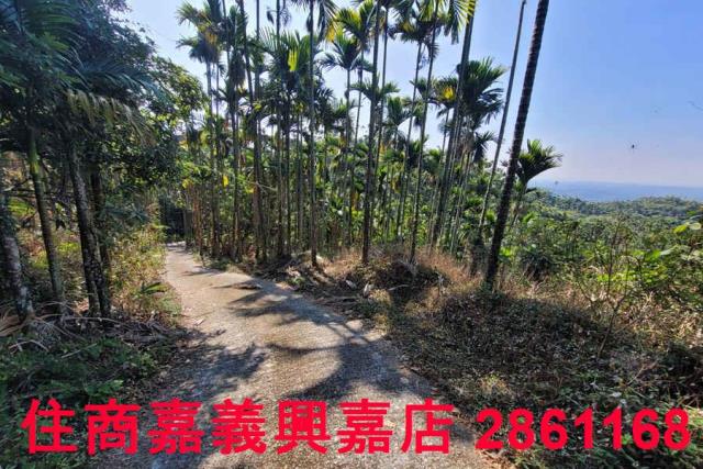 嘉義梅山農地-8