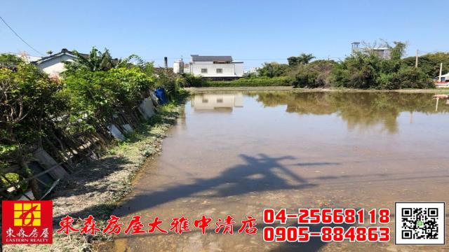 大雅農地-1