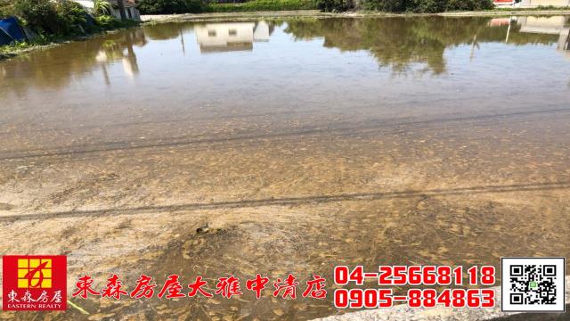 大雅農地-3