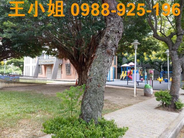 蘆竹建地-2