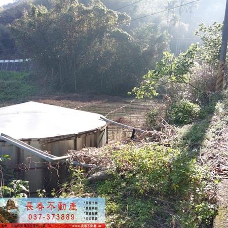 獅潭農地-6