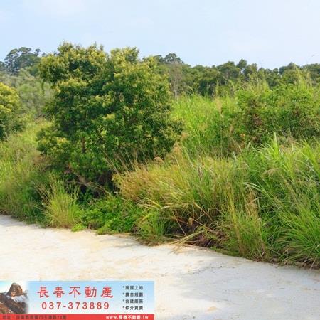 造橋山坡地-3