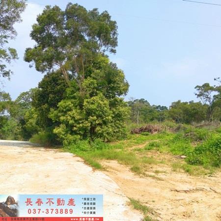 造橋山坡地-5