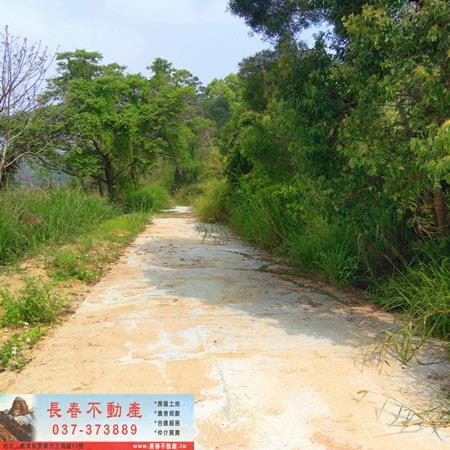 造橋山坡地-6