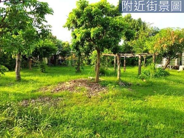 安南農地-1