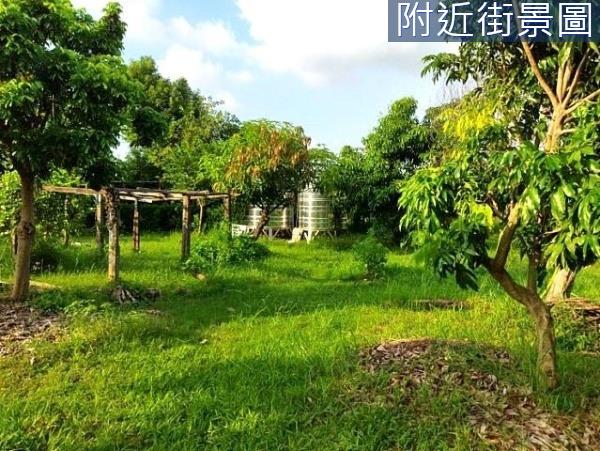 安南農地-2