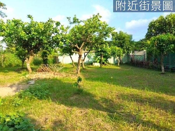 安南農地-3