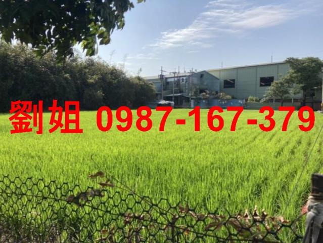 大寮農地-1