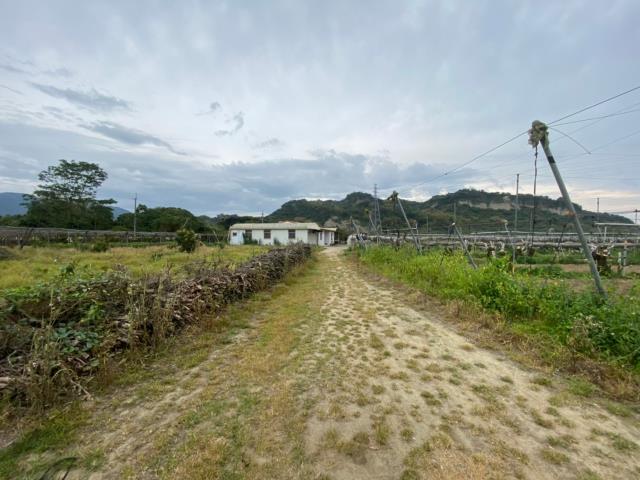 玉井農地-8