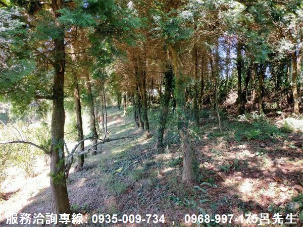 苗栗銅鑼農地-5
