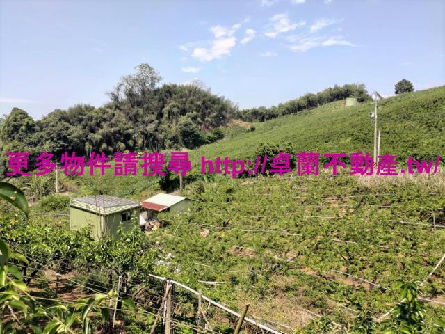 卓蘭農地-1
