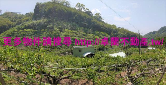 卓蘭農地-3