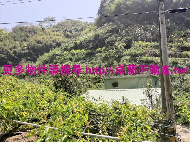 卓蘭農地-4