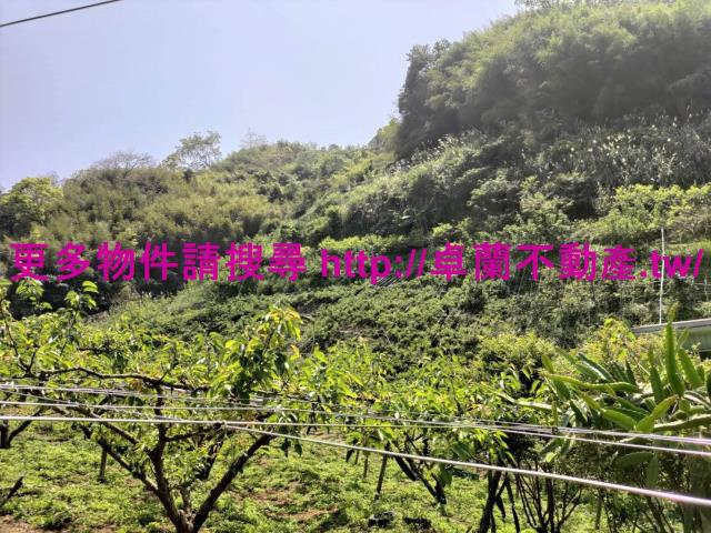 卓蘭農地-5
