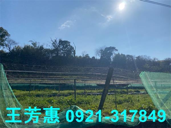 台中外埔農地-1