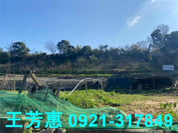 台中外埔農地-2